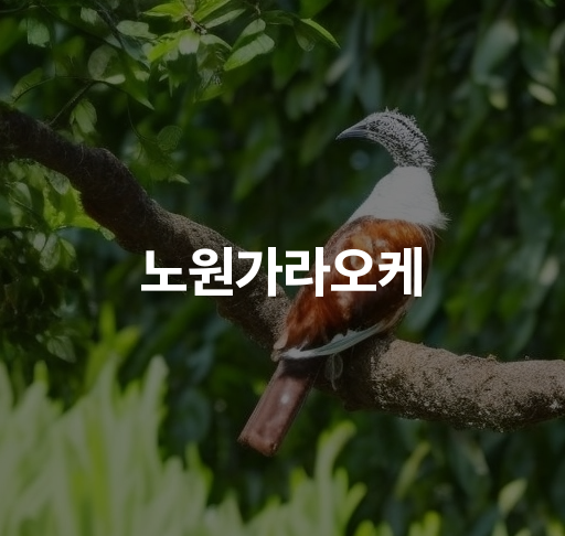 노원가라오케  최신 퍼블릭 가라오케 시스템 고객 맞춤 서비스  특별한 예약 요령과 할인 혜택